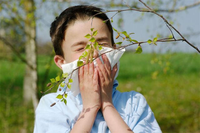 Весенняя аллергия у ребенка