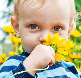 Аллергия на весеннее цветение у ребенка или Что такое поллиноз?
