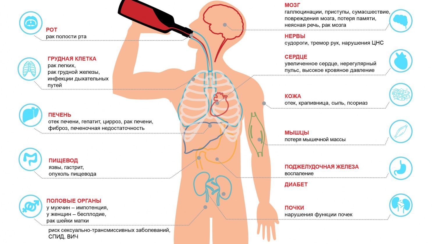 Тело говорит о болезни. Влияние алкоголизма на организм человека.