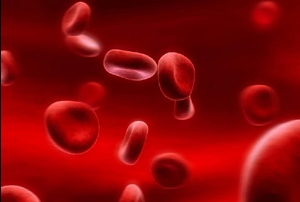 Эритроциты крови